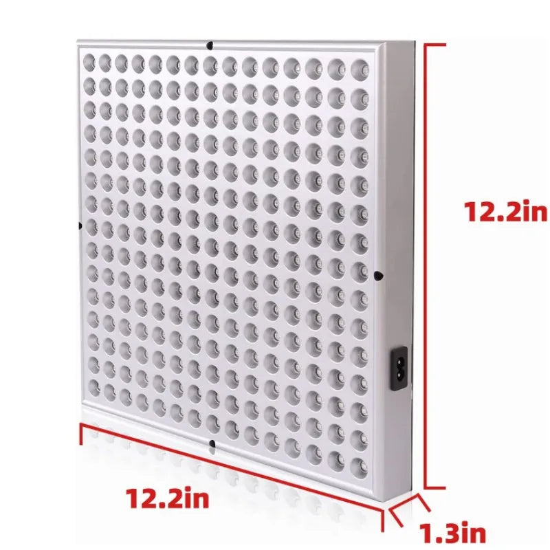 "The Red Light Panel"